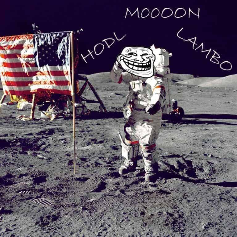 HODL “No Moon, No Lambo, Just Hodl”