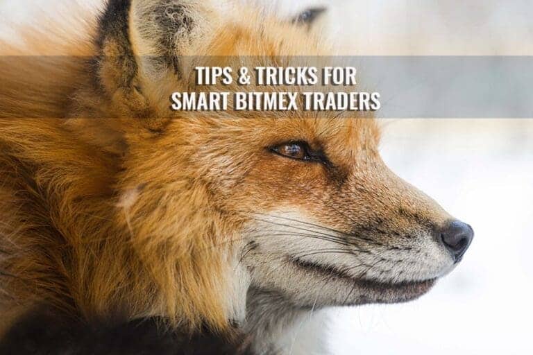 Bitmex Traders “Tips & Tricks for the smart!”