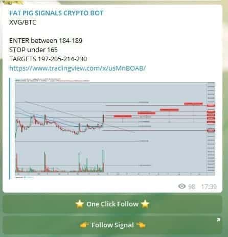Crypto Auto Trader Fat Pigs