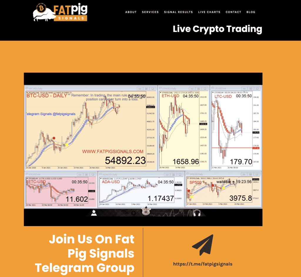 Fat Pigs Live Signal Feed
