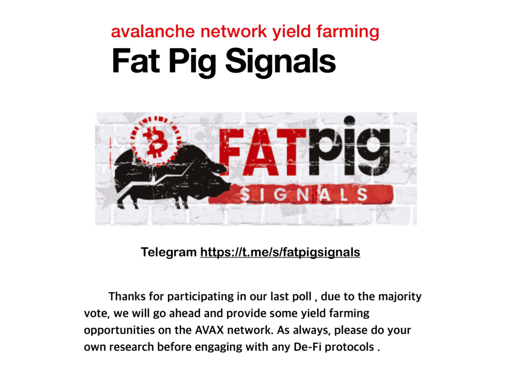 Fat Pigs Avalanch Network Yield Farming