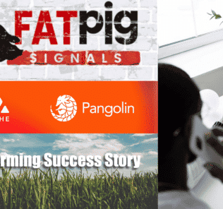 Fat Pig Signals Farming Success!