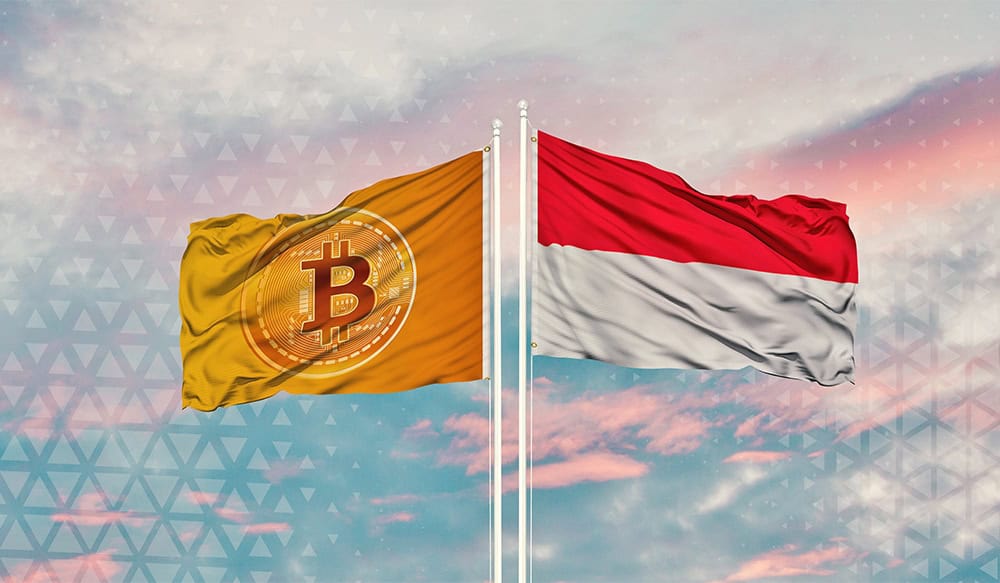 Indonesia Crypto Adoption 2023