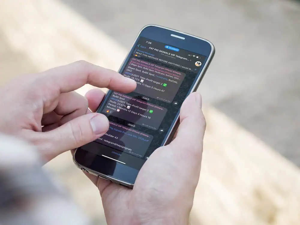 Crypto signals on Telegram. Fat Pig Signals