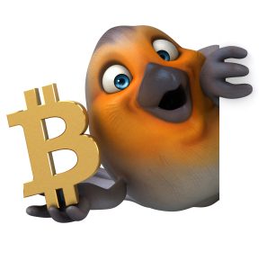 A cartoon bird with orange, gray, and white feathers holds a large gold Bitcoin symbol in one wing and peeks out from behind a white edge, looking surprised or excited about the discount coupons