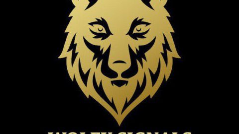 A gold stylized wolf head graphic is centered above the bold gold text "WOLFX SIGNALS" on a solid black background, highlighting an exclusive 15% OFF coupon for WolfX services.