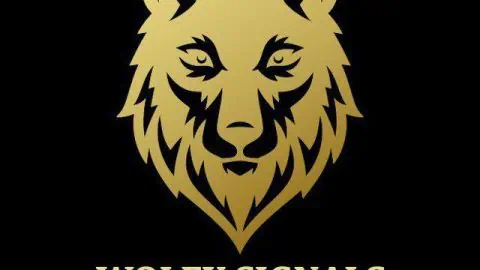 A gold stylized wolf head graphic is centered above the bold gold text "WOLFX SIGNALS" on a solid black background, highlighting an exclusive 15% OFF coupon for WolfX services.