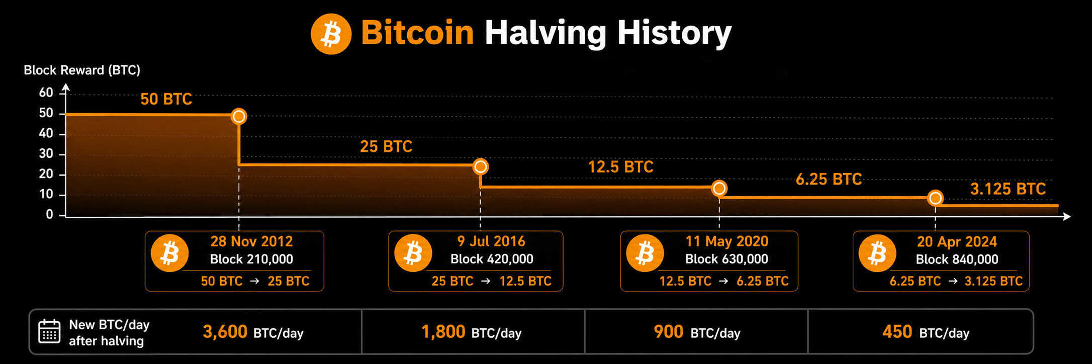 A timeline chart showing the history of Bitcoin halving events from 2012 to 2024, with block rewards decreasing from 50 BTC to 3.125 BTC, annotated with BTC mined per day after each halving and highlighting how these reductions have influenced Crypto Market Cycles.